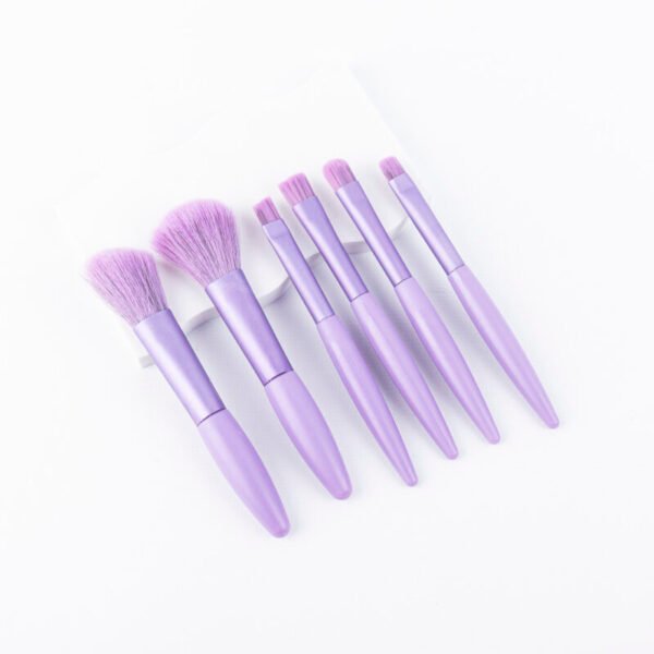 SET DE BROCHAS 6PCS
